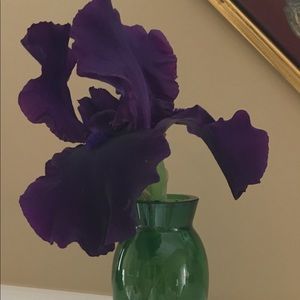 Meet your Posher, Judith